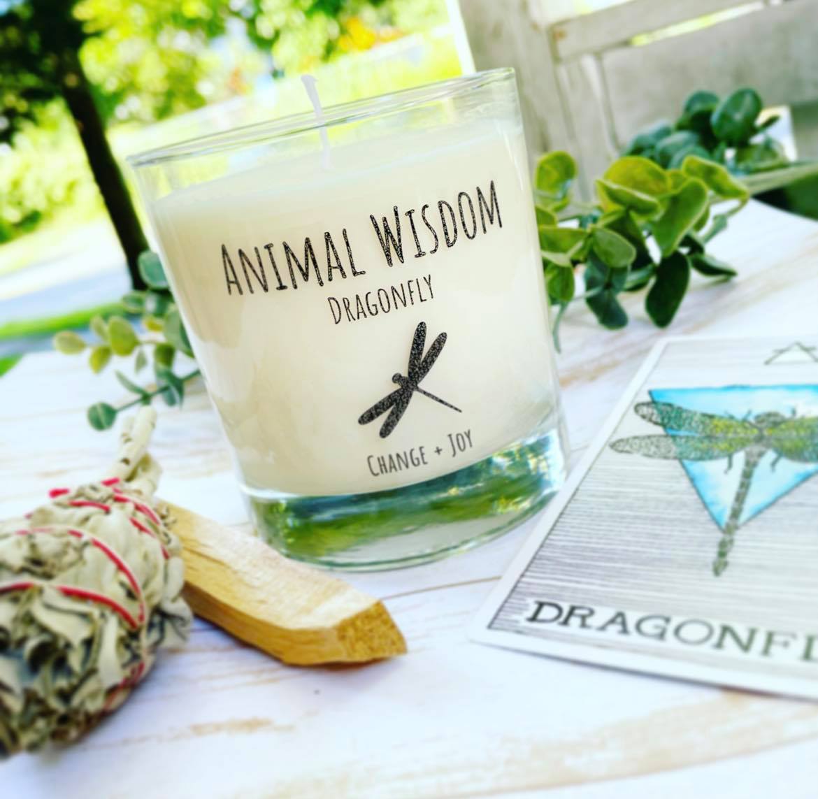 Animal Wisdom Dragonfly Candle